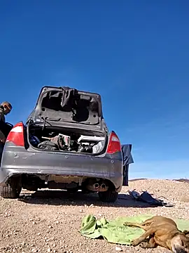 FloppyPickle4u online show from February 15, 2025, 9:37 pm