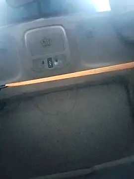 FloppyPickle4u online show from November 5, 2025, 3:56 pm