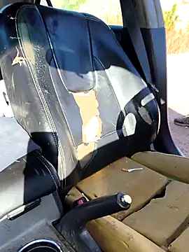 FloppyPickle4u online show from March 9, 2026, 4:22 pm