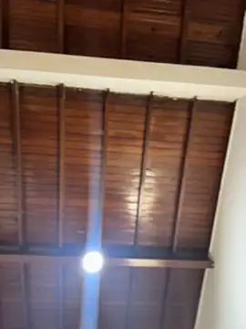 emiss  online show from February 5, 2026, 3:05 pm