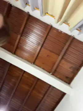 emiss  online show from March 5, 2026, 2:24 pm