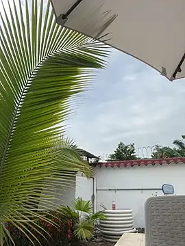 Ema azel online show from February 16, 2025, 2:00 pm