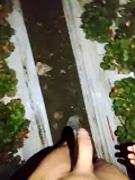 dfff125ff online show from November 13, 2025, 5:39 am