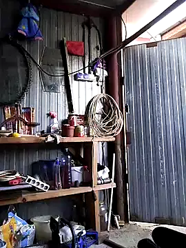 Sarpe84 online show from December 22, 2024, 2:16 pm