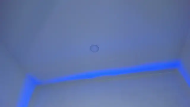 Mara Betancurt online show from December 28, 2024, 3:15 am