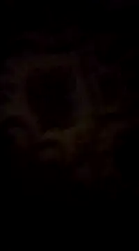 WreckedCrop online show from March 2, 2025, 8:29 pm