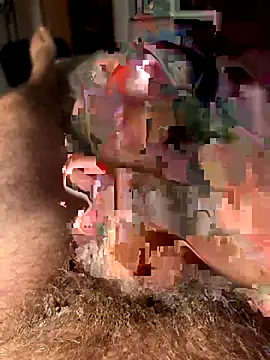 Snapshot of francoers chatting on October 16, 2025, 11:17 pm francoers online show from October 16, 2025, 11:17 pm