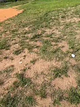 Snapshot of Black-mamba-madingo chatting on February 14, 2026, 8:55 am Black-mamba-madingo online show from February 14, 2026, 8:55 am