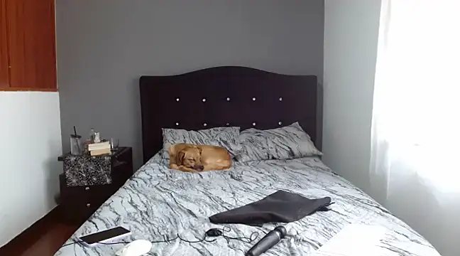 Emilia 1995 online show from February 10, 2025, 12:50 pm