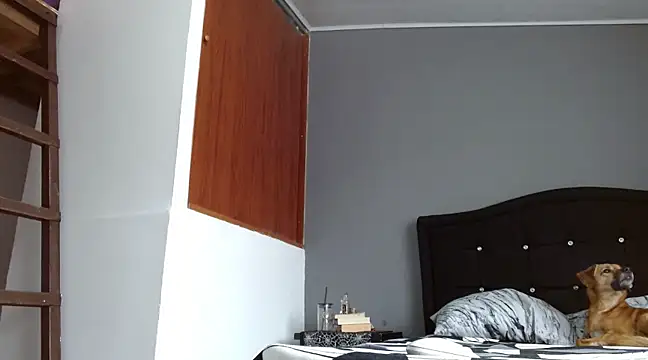 Emilia 1995 online show from March 16, 2025, 6:23 pm