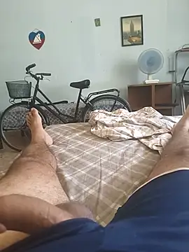 italovene online show from June 8, 2026, 8:04 am