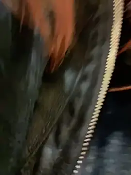 RinaCat online show from December 24, 2024, 8:33 am