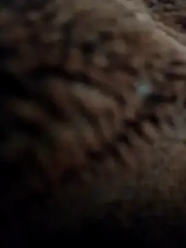 Priya Bong online show from November 10, 2025, 3:05 am