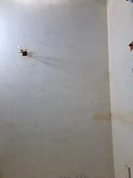 Derry Cooper online show from February 8, 2026, 6:55 pm