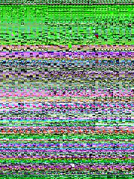 Barbyxhot online show from November 21, 2025, 4:16 pm