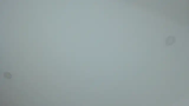 dollface17 online show from January 30, 2025, 11:55 pm