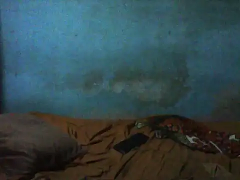 little  joy online show from November 29, 2025, 9:18 pm