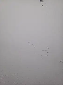 Snapshot of HombreS3n chatting on February 19, 2025, 3:28 am HombreS3n online show from February 19, 2025, 3:28 am