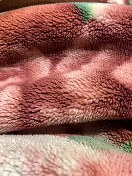 Gengista88 online show from February 4, 2026, 1:44 am