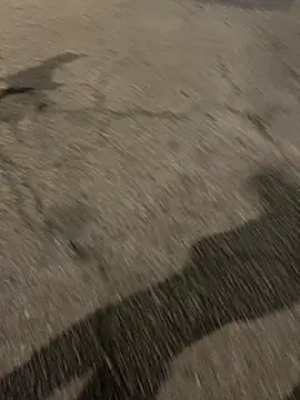 Snapshot of ToAnWTW chatting on February 24, 2026, 9:57 pm ToAnWTW online show from February 24, 2026, 9:57 pm