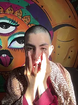  Artemisa X online show from November 12, 2025, 12:49 pm