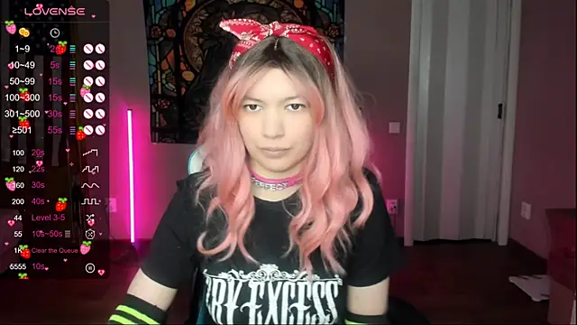 Project hisoka online show from January 5, 2026, 5:27 pm