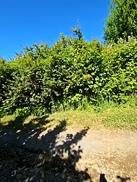 Reinacatchile online show from December 14, 2024, 7:36 pm