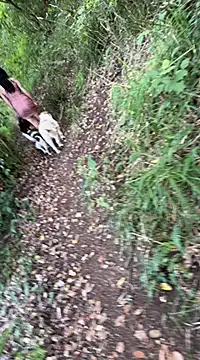 Reinacatchile online show from February 4, 2025, 10:55 pm