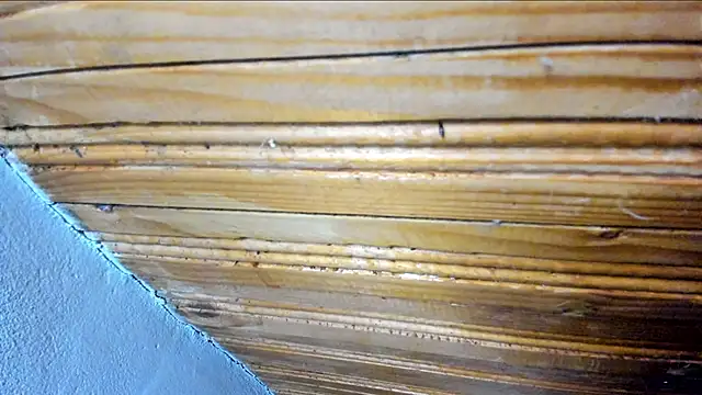 Snapshot of 00loret chatting on February 21, 2025, 10:39 am 00loret online show from February 21, 2025, 10:39 am