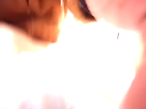 pnp0Japan online show from December 31, 2024, 3:09 pm