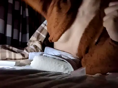 pnp0Japan online show from January 11, 2025, 7:59 pm