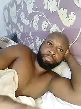 Snapshot of Stallion100 chatting on February 13, 2026, 5:14 am Stallion100 online show from February 13, 2026, 5:14 am