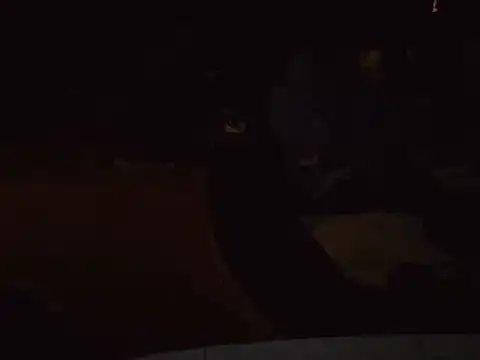 0815lukas2024 online show from January 16, 2025, 6:59 pm