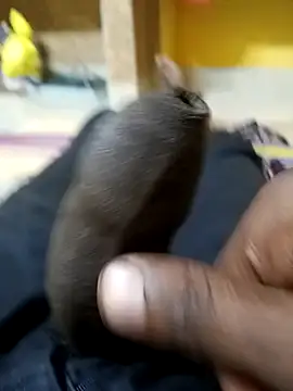 Tamil boy age28 online show from December 20, 2025, 3:35 am