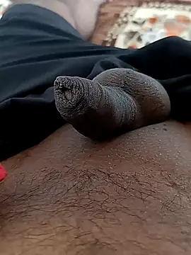 Snapshot of sat_1234 chatting on December 16, 2024, 8:52 am sat 1234 online show from December 16, 2024, 8:52 am