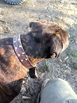 Snapshot of mitulik84 chatting on December 19, 2025, 11:50 am mitulik84 online show from December 19, 2025, 11:50 am