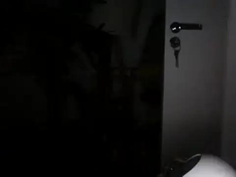 Snapshot of funguybr36 chatting on February 5, 2025, 7:53 pm funguybr36 online show from February 5, 2025, 7:53 pm