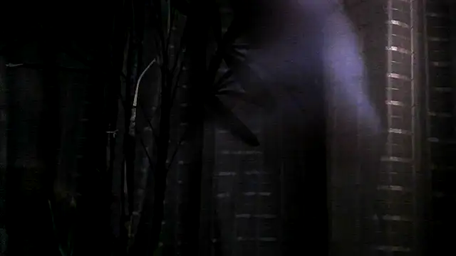 Snapshot of funguybr36 chatting on September 19, 2025, 11:00 am funguybr36 online show from September 19, 2025, 11:00 am