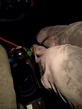 A man in public online show from April 10, 2026, 10:47 pm