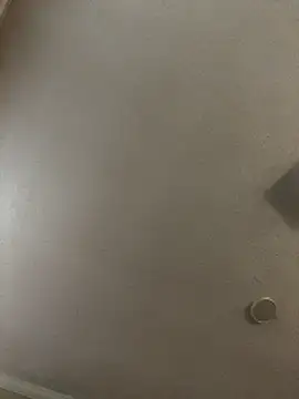 velvetta  online show from December 18, 2025, 1:06 pm