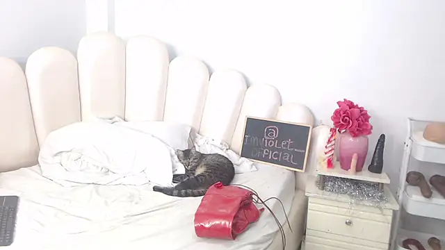 VioletXia  online show from February 14, 2026, 6:21 am