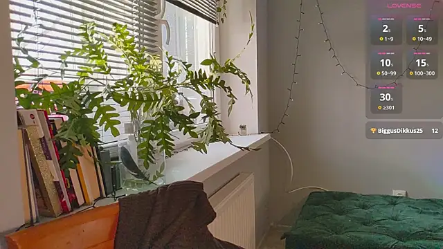 monlight  dana online show from January 13, 2025, 1:17 pm