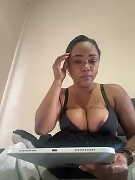 Noviostoxico online show from June 16, 2026, 4:31 pm