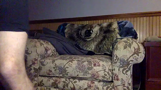 tongueispowerr6d9 online show from March 3, 2026, 2:18 am