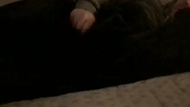 Snapshot of Rock_Pierce chatting on February 28, 2026, 1:23 pm Rock Pierce online show from February 28, 2026, 1:23 pm