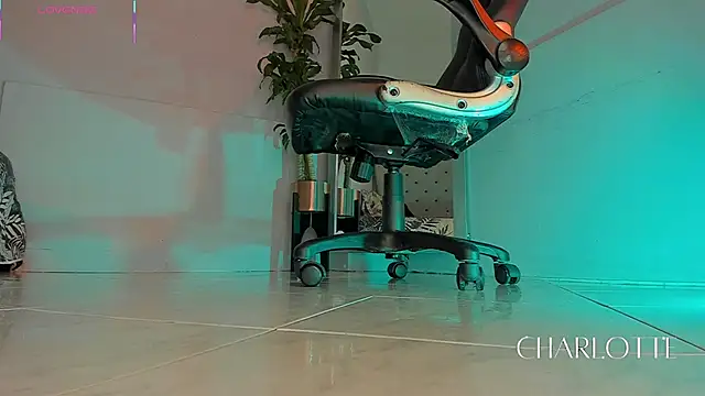 charlotte  grey online show from November 20, 2025, 8:41 pm