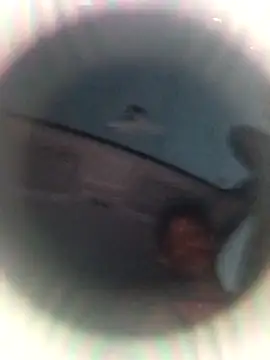 Snapshot of Ursonego chatting on October 3, 2025, 10:07 pm Ursonego online show from October 3, 2025, 10:07 pm