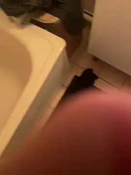 Snapshot of dimitriei chatting on December 7, 2024, 12:08 am dimitriei online show from December 7, 2024, 12:08 am