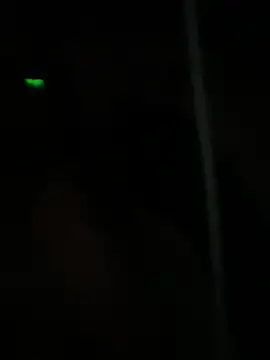 Snapshot of dimitriei chatting on January 5, 2025, 8:54 am dimitriei online show from January 5, 2025, 8:54 am