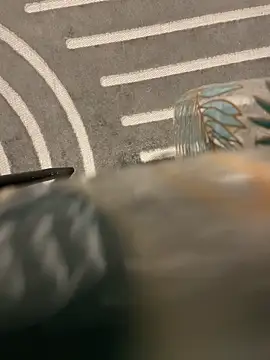 Snapshot of dimitriei chatting on November 15, 2025, 6:22 am dimitriei online show from November 15, 2025, 6:22 am